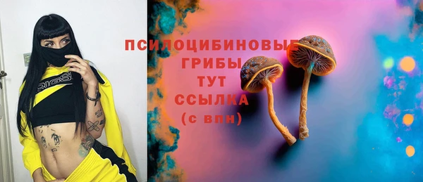 дживик Алексин