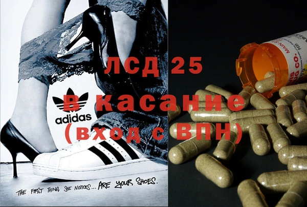 кокс Алзамай