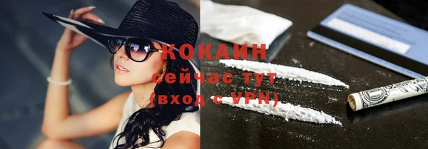 кокс Алзамай