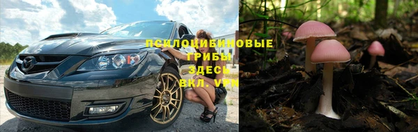 кокс Алзамай